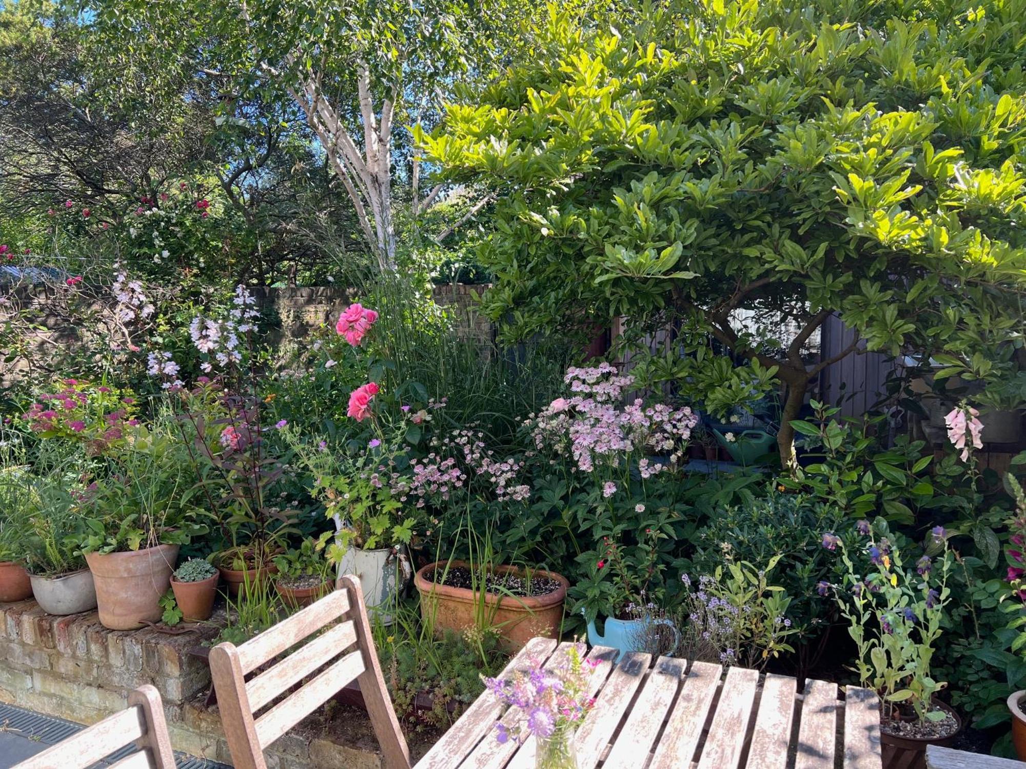 Bright And Elegant 2 Bedroom Flat, Near Notting Hill London Luaran gambar